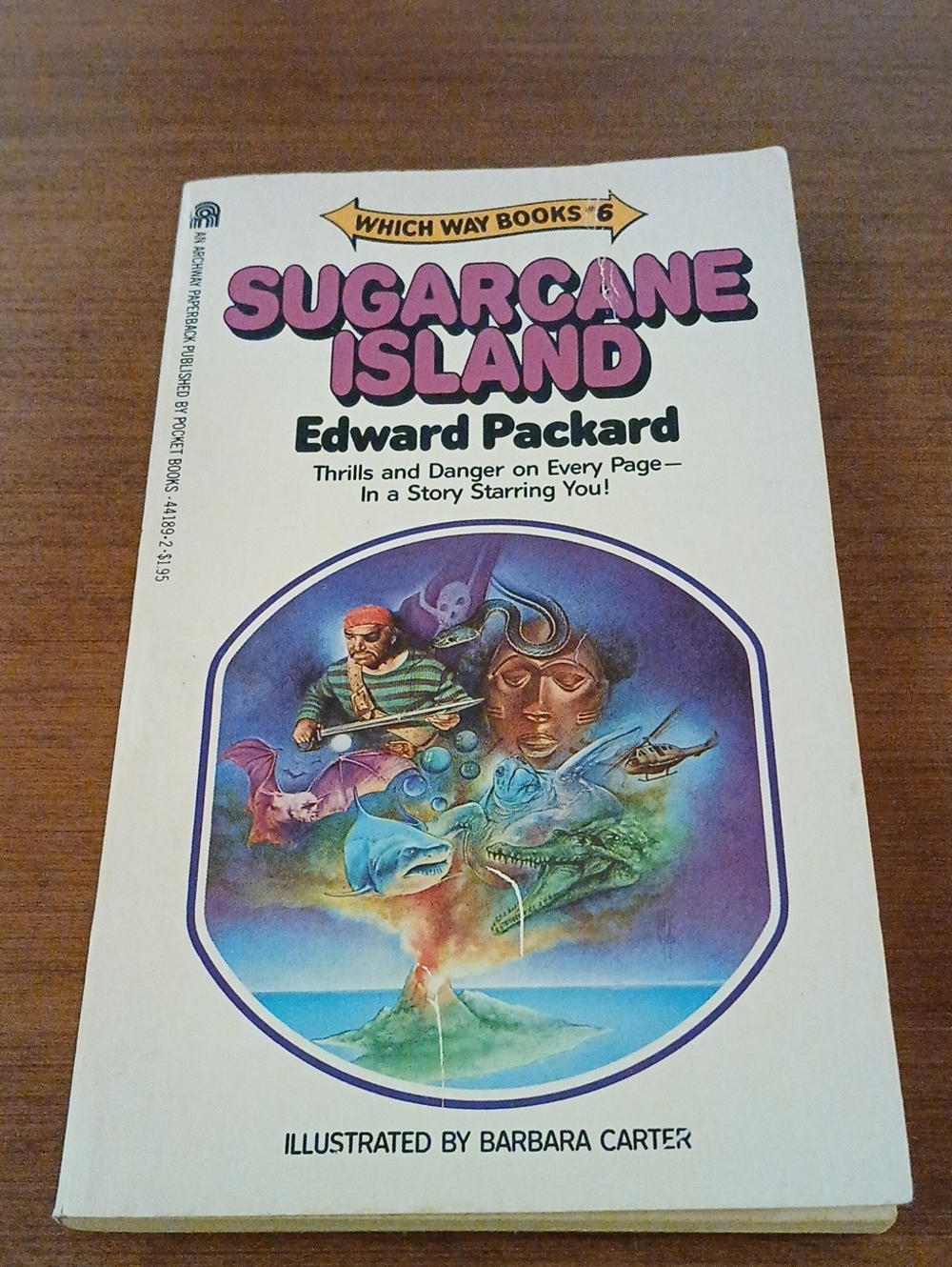 Which Way Books #6 Sugarcane Island Edward Packard 1978 CYOA Rare Paperback Vtg